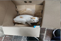 동구종합동물병원_426327202400275